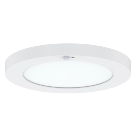 PAVOCWS PIR - DL162023